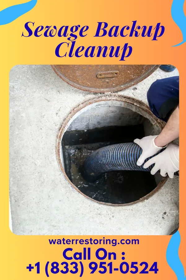 Sewage Backup Cleanup in Montclair, VA